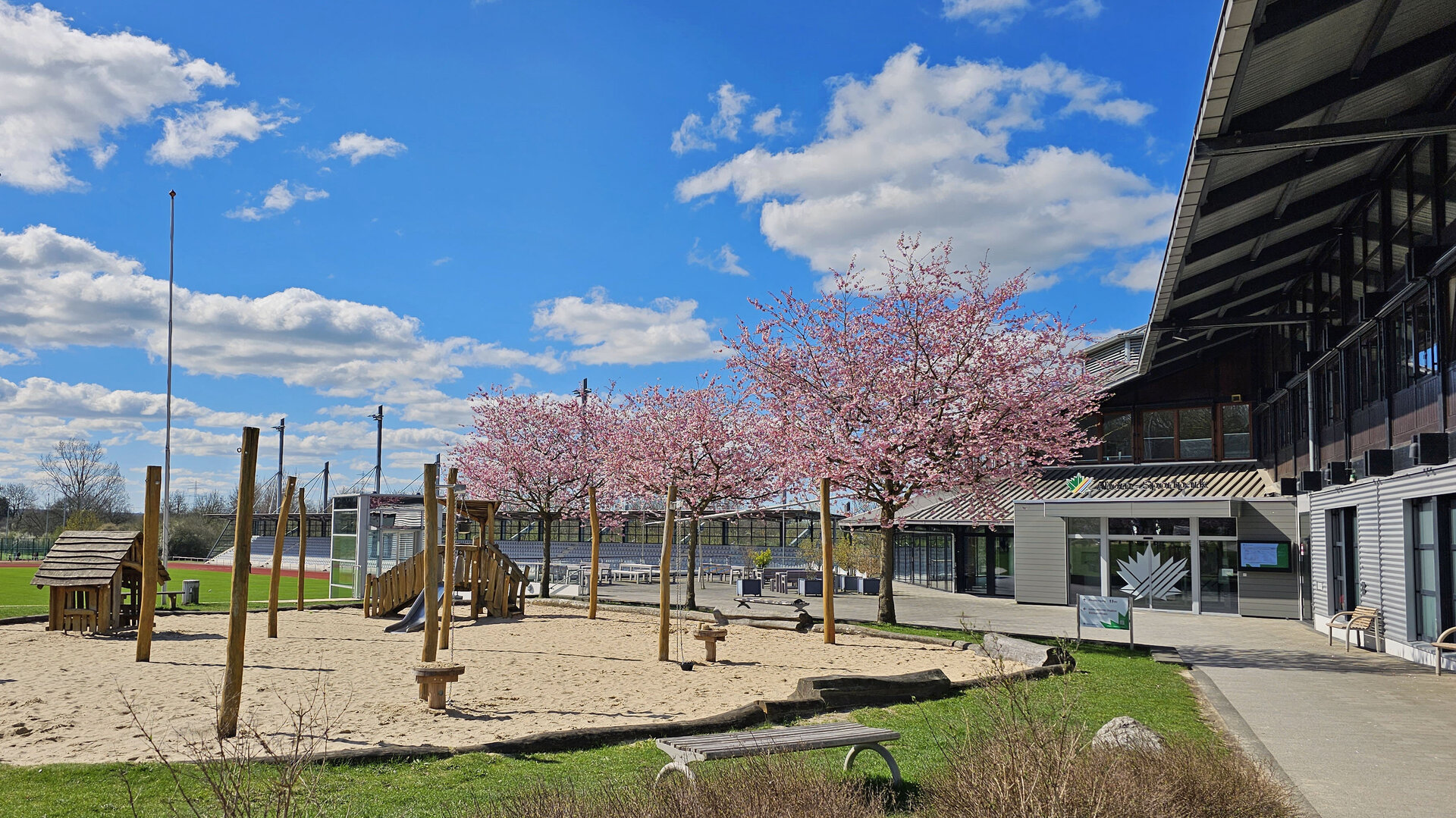 Der Ahörnchen-Spielplatz ist auf der linken-Seite mit Holzsspielmodulen auf einem sandigen Untergrund zu sehen. Dahinter stehen drei Kirschbäume mit rosa Blüten. Im Hintergrund befindet sich auf der linken Bildhälfte das Leichtathletikstadion samt Tribüne und auf der rechten Hälfte die Ahorn-Spportpark-Halle mit dem Eingangsbereich.