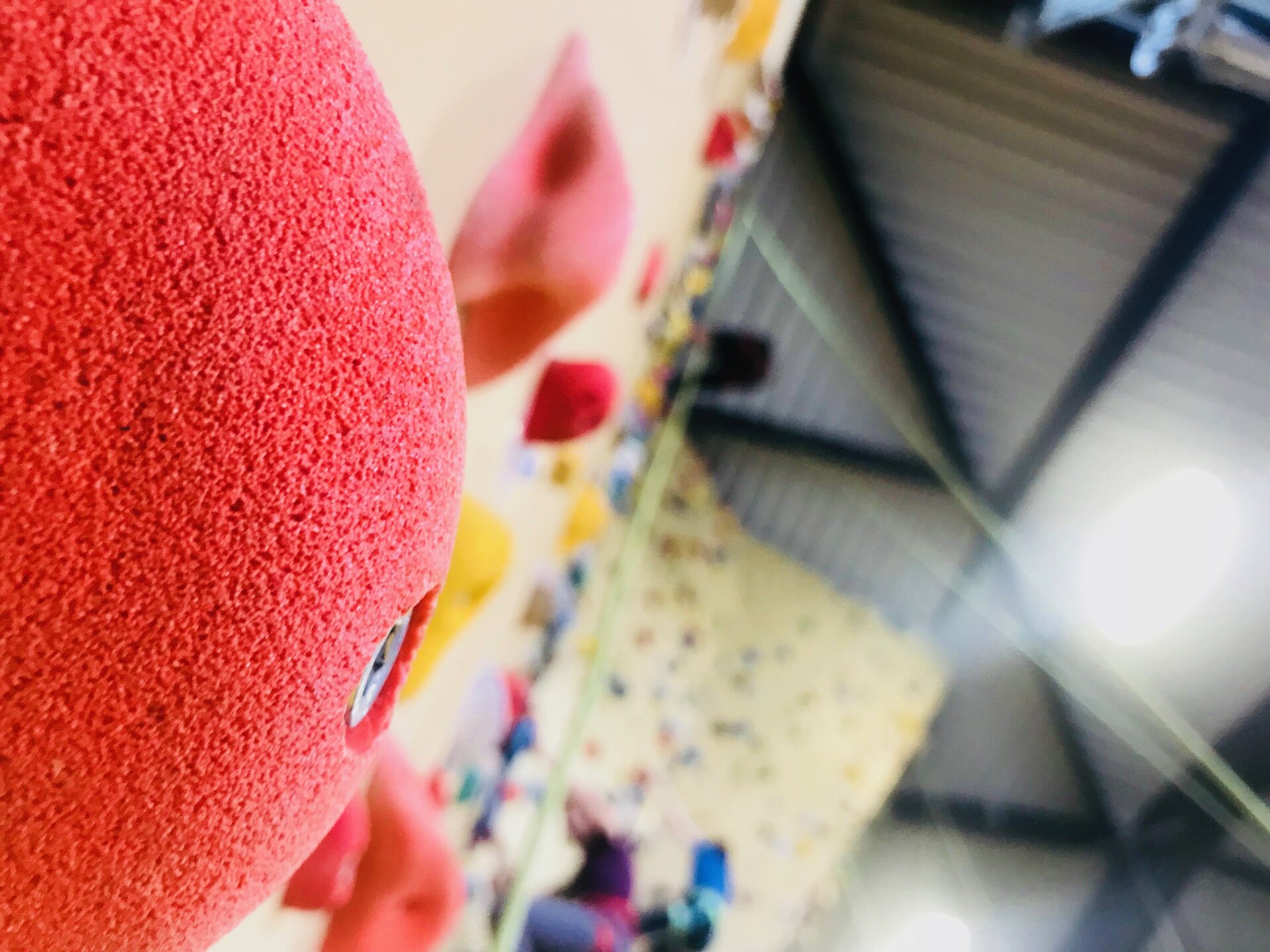 Nahaufnahme eines roten Klettergriffs an einer Kletterwand in der Halle mit sichtbarer Decke und Beleuchtung.
