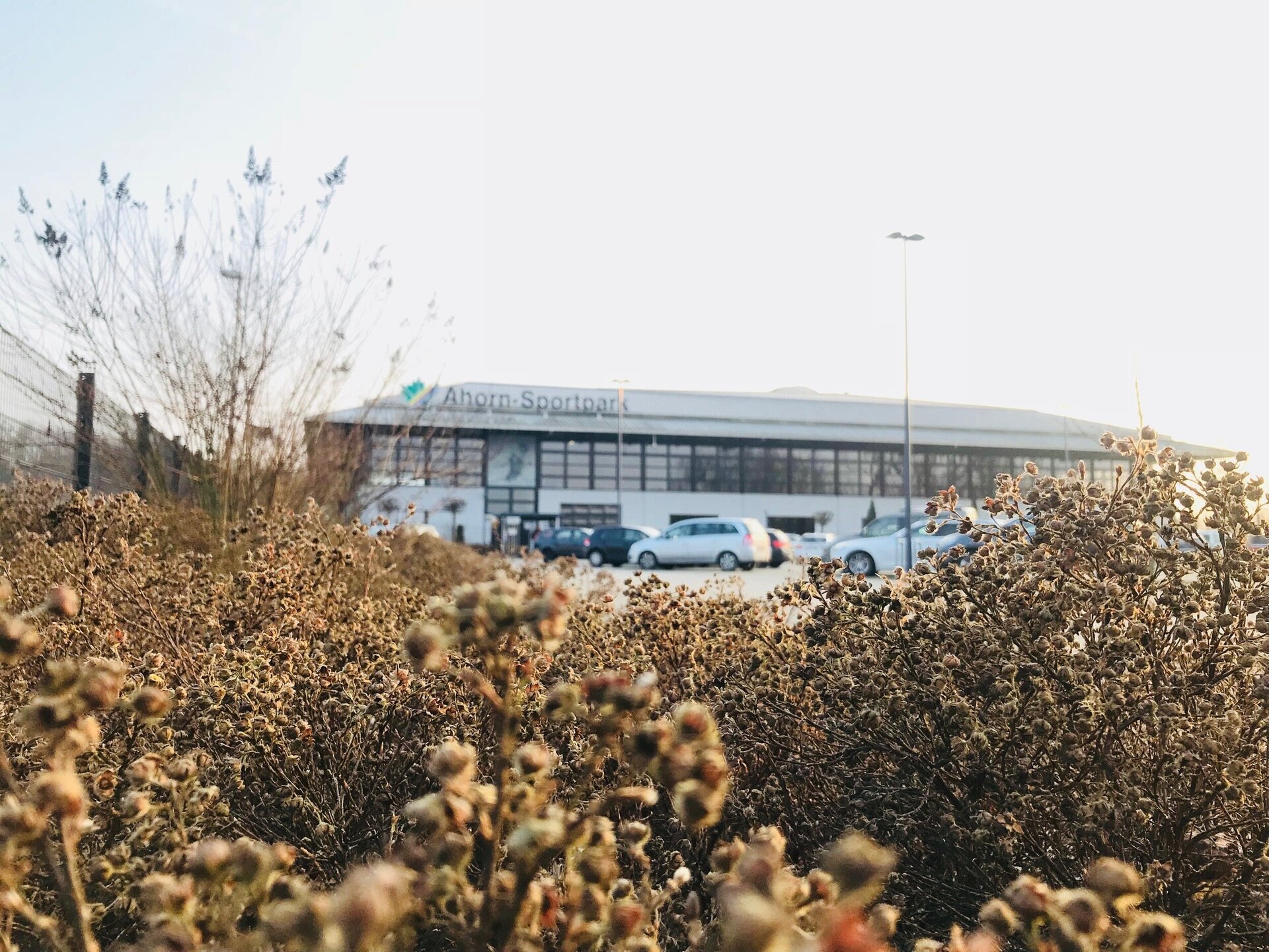 Im Hintergrund ist die Nordseite der Ahorn-Sporpark-Halle abgebildet. Vor der Halle stehen Autos und im Vordergund ranken braune Büsche ins Bild.