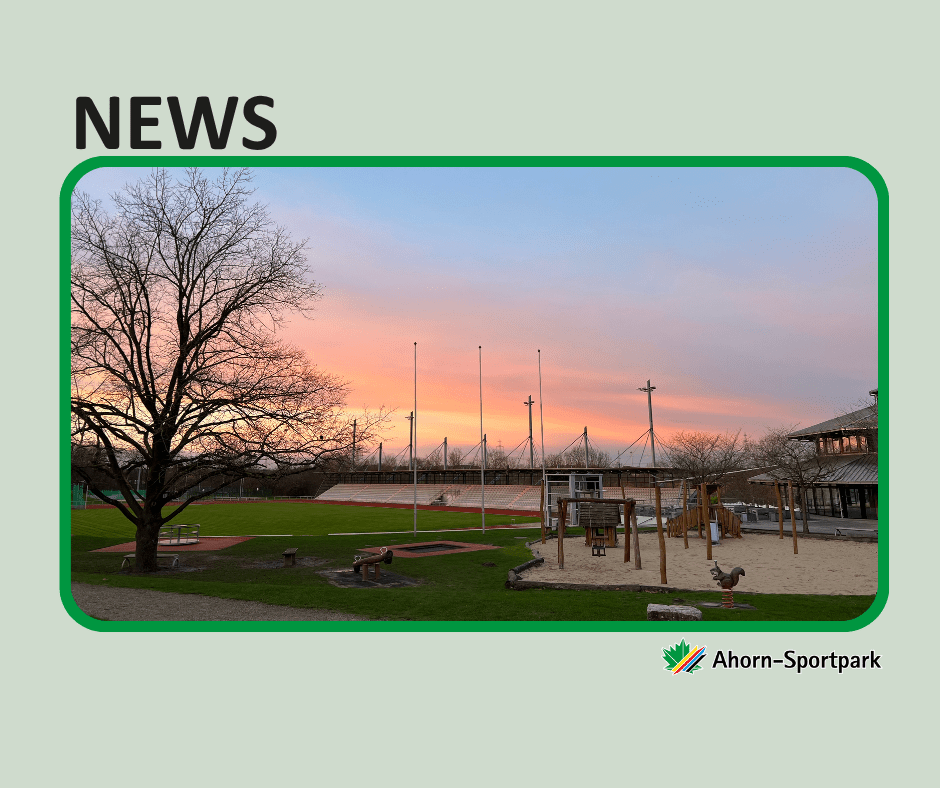 Auf einem grünen Hintergrund steht links oberhalb eines Bildes NEWS. Das Bild zeigt den großen Eichenbaum neben dem Spielplatz im Ahorn-Sportpark.