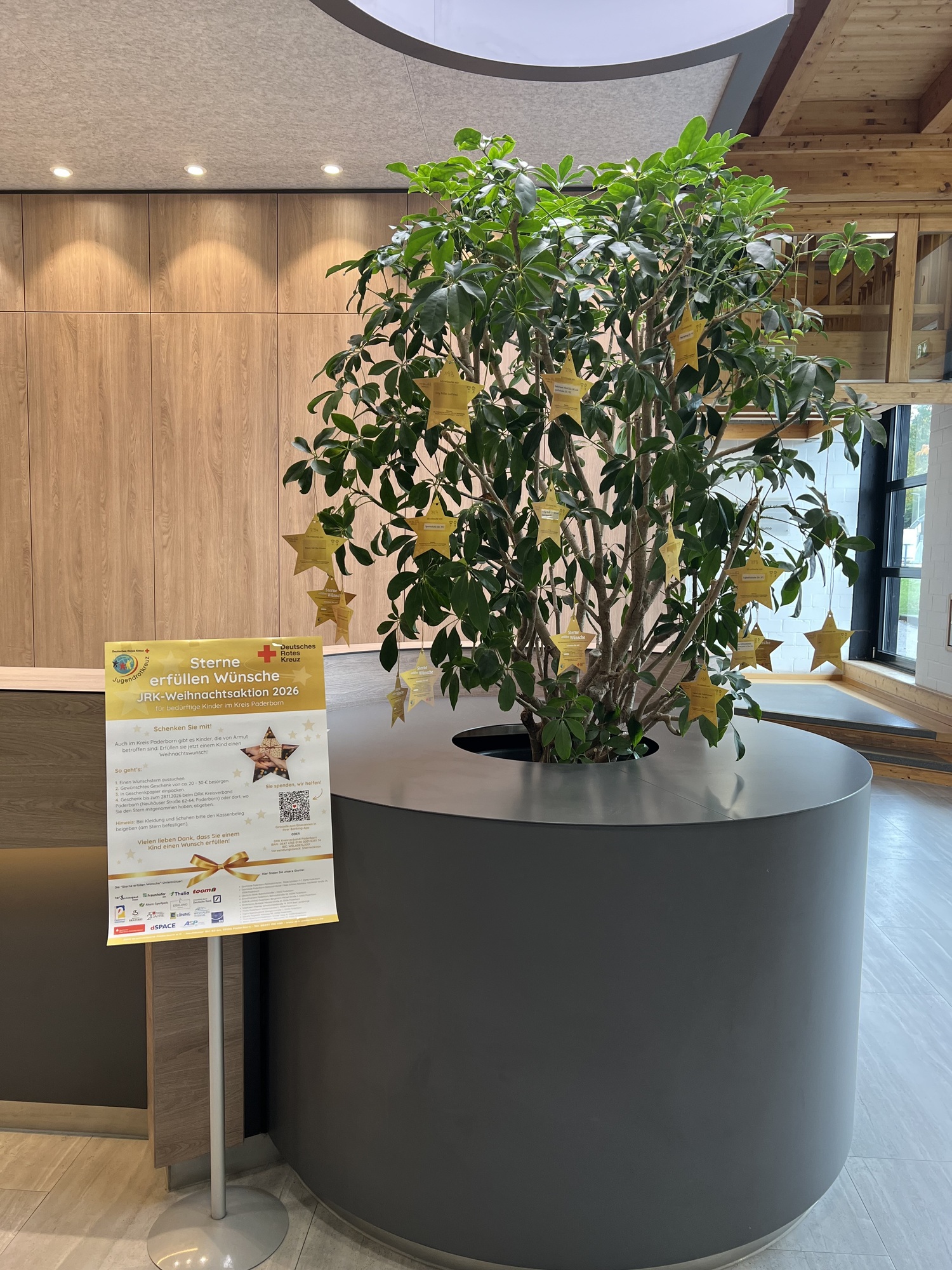Ein großer grüner Wunschbaum im Eingangsbereich des Ahorn-Sportparks ist mit zahlreichen goldenen Sternen geschmückt. Die Sterne tragen Weihnachtswünsche bedürftiger Kinder im Rahmen der JRK-Weihnachtsaktion 2026 des Deutschen Roten Kreuzes. Neben dem Baum informiert ein Plakat über die Aktion „Sterne erfüllen Wünsche“.